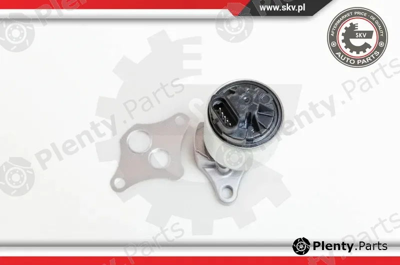Esen SKV 14SKV037 — EGR Valve