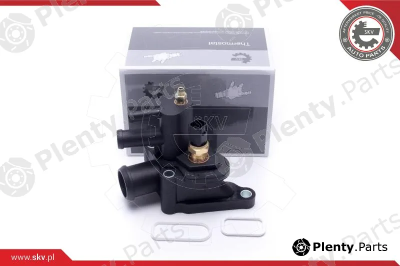 Esen SKV 20SKV608 — Coolant Flange