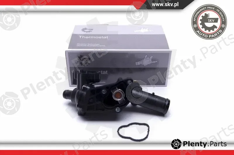 Esen SKV 20SKV110 — Thermostat, coolant