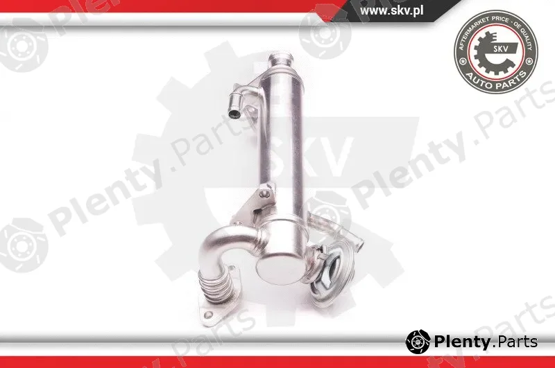 Esen SKV 14SKV122 — EGR Valve