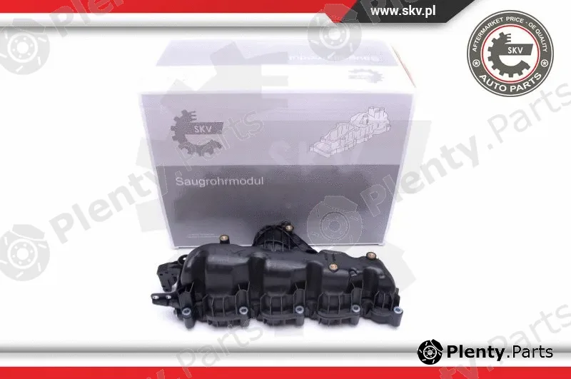 Esen SKV 49SKV007 — Intake Manifold Module