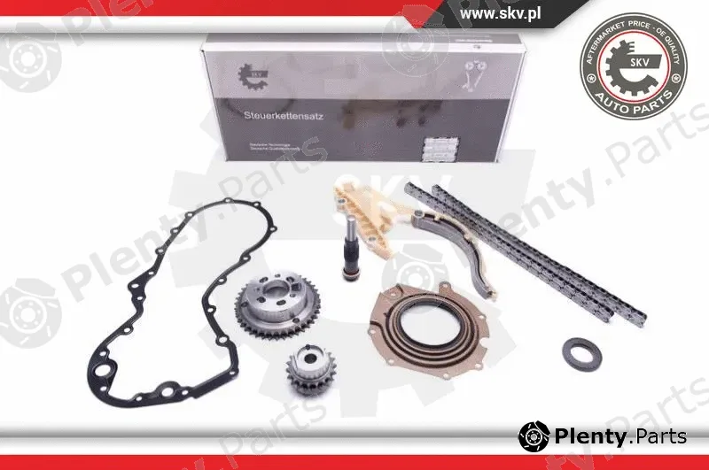 Esen SKV 21SKV114 — Timing Chain Kit