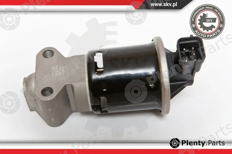 Esen SKV 14SKV059 — EGR Valve