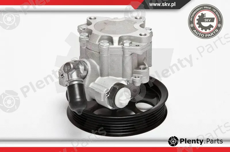 Esen SKV 10SKV070 — Hydraulic Pump, steering