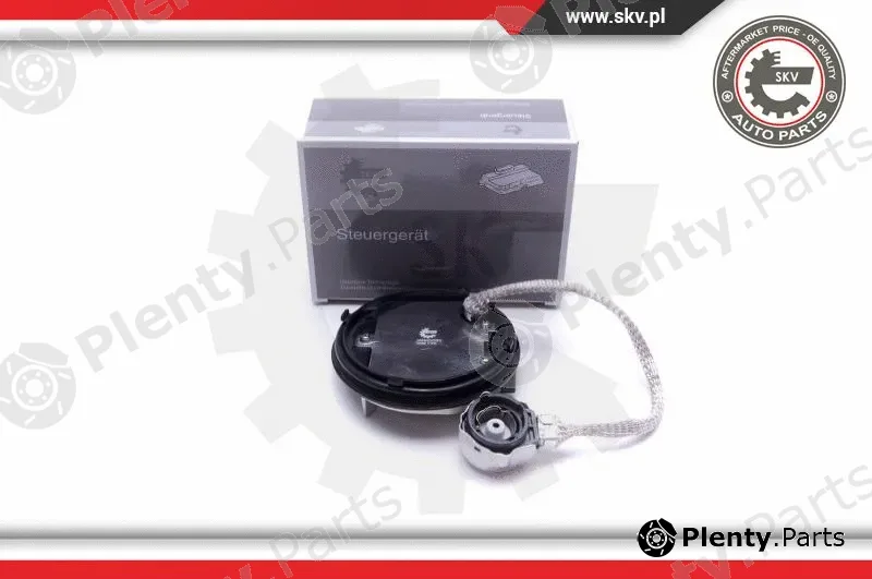 Esen SKV 59SKV062 — Control Unit, lights