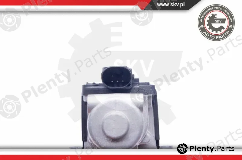 Esen SKV 14SKV164 — EGR Valve