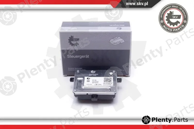 Esen SKV 59SKV028 — Control Unit, lights