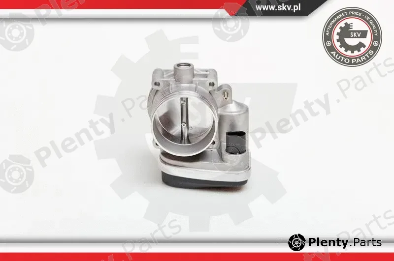 Esen SKV 12SKV040 — Throttle Body