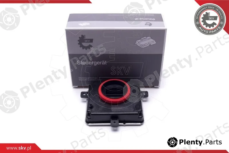 Esen SKV 59SKV167 — Control Unit, lights