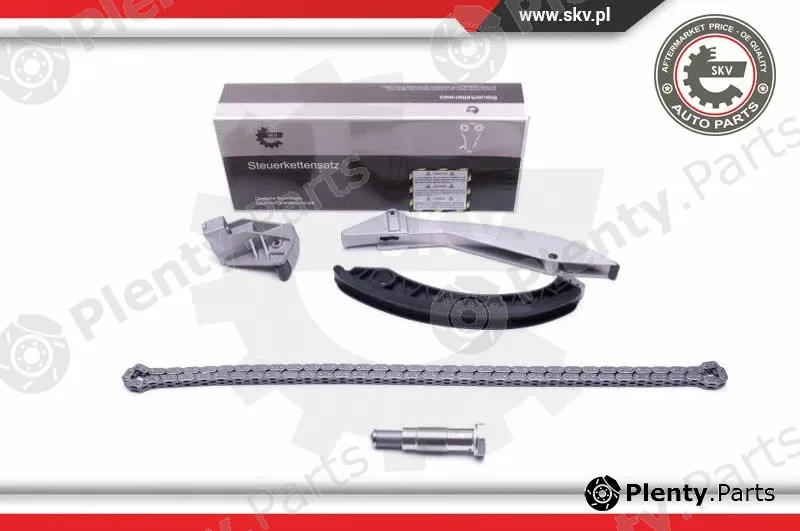 Esen SKV 21SKV133 — Timing Chain Kit