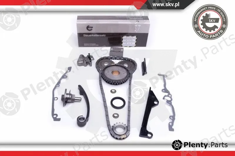 Esen SKV 21SKV241 — Timing Chain Kit