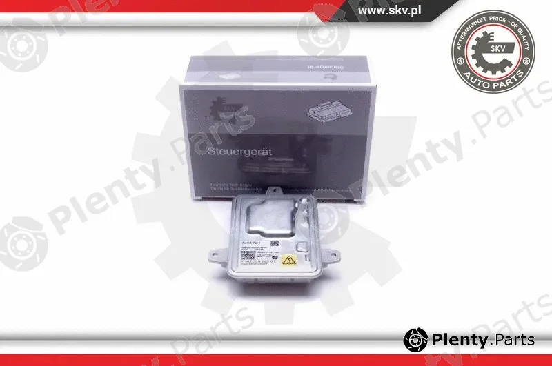 Esen SKV 59SKV016 — Control Unit, lights