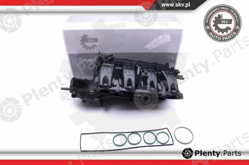 Esen SKV 49SKV026 — Intake Manifold Module