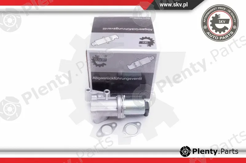 Esen SKV 14SKV211 — EGR Valve