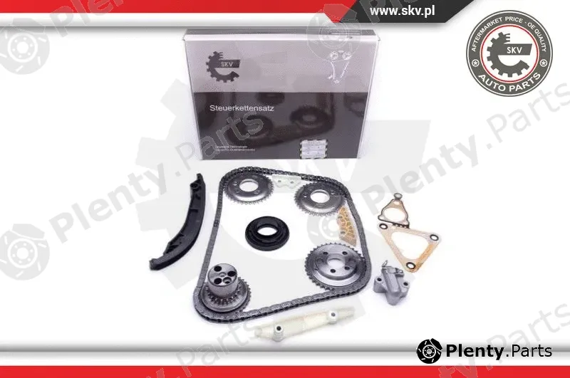 Esen SKV 21SKV123 — Timing Chain Kit