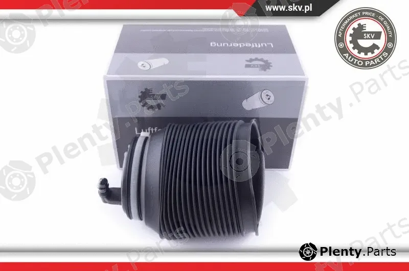 Esen SKV 58SKV006 — Air Spring, suspension