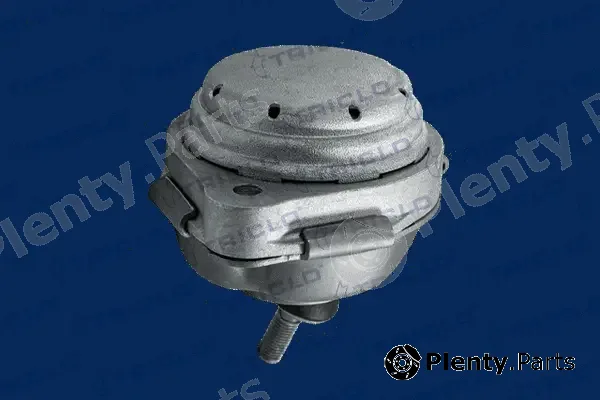 Triclo 363145 — Mounting, engine