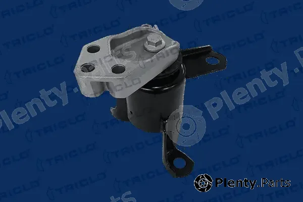 Triclo 367315 — Mounting, engine