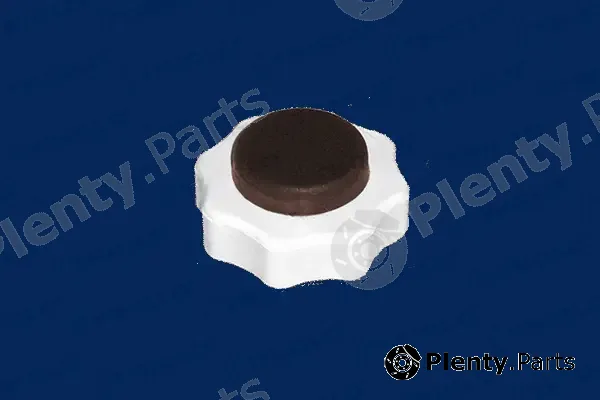 Triclo 311351 — Cap, coolant tank