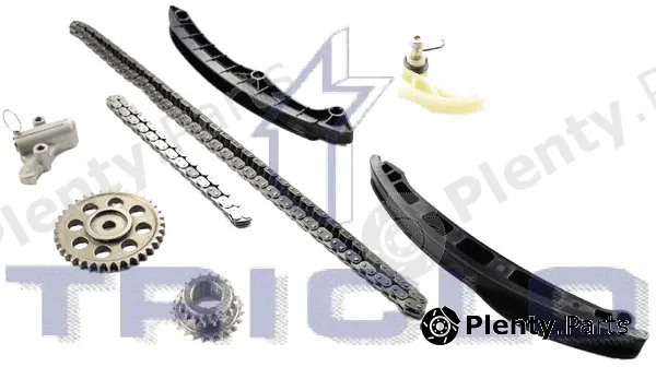 Triclo 422173 — Timing Chain Kit
