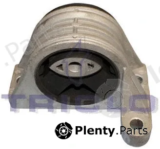 Triclo 361667 — Mounting, engine