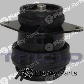 Triclo 363987 — Mounting, engine