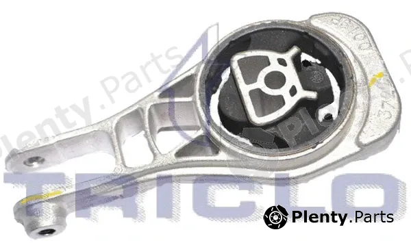 Triclo 366708 — Mounting, engine