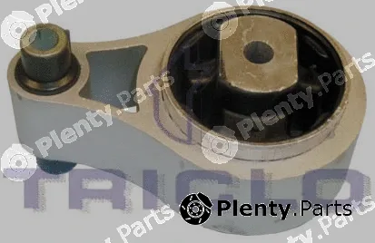 Triclo 365659 — Mounting, engine