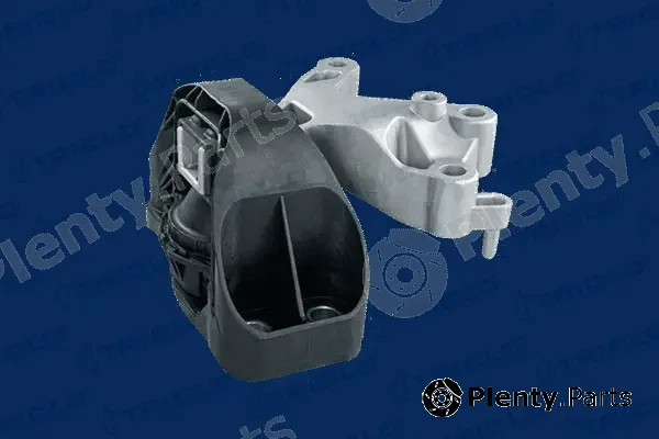 Triclo 365463 — Mounting, engine
