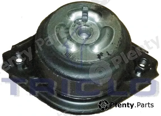 Triclo 363504 — Mounting, engine