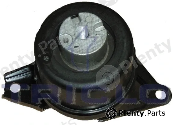 Triclo 362513 — Mounting, engine