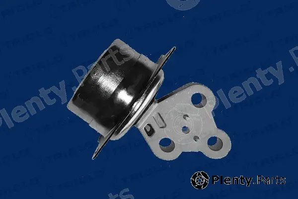 Triclo 367143 — Mounting, engine