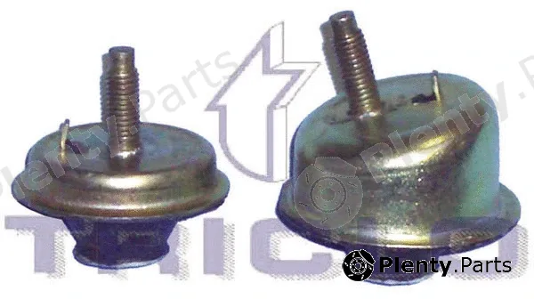 Triclo 361630 — Mounting, engine