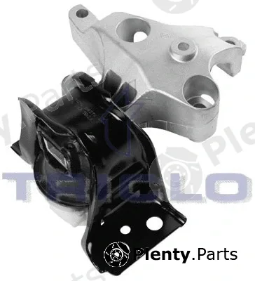 Triclo 365272 — Mounting, engine