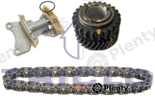Triclo 422193 — Timing Chain Kit