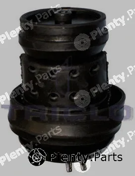 Triclo 363986 — Mounting, engine