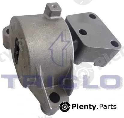 Triclo 360193 — Mounting, engine