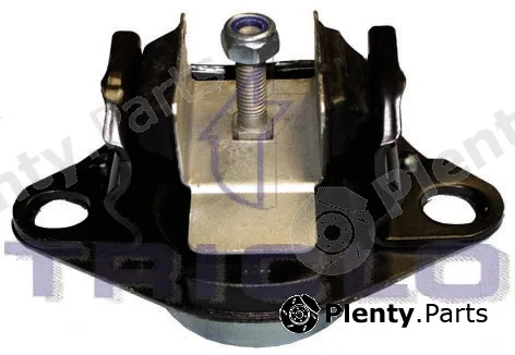 Triclo 365389 — Mounting, engine