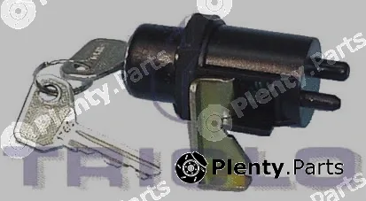 Triclo 133733 — Lock Cylinder