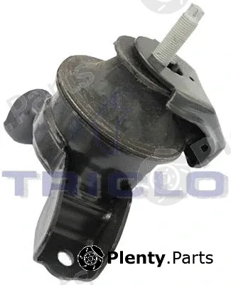 Triclo 366781 — Mounting, engine