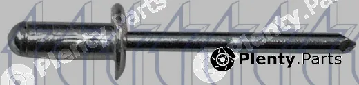 Triclo 161868 — Blind Rivet
