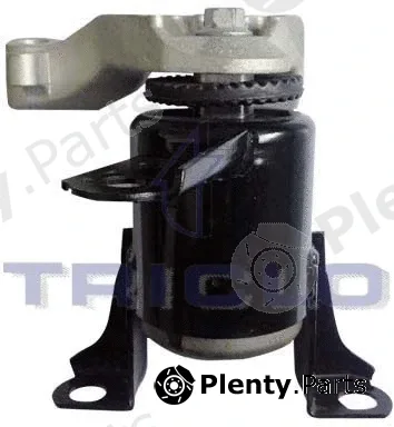 Triclo 368808 — Mounting, engine