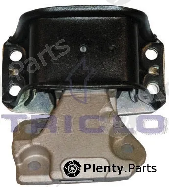 Triclo 361296 — Mounting, engine