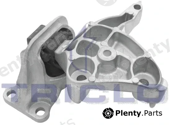 Triclo 365289 — Mounting, engine