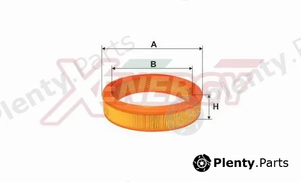 Ap Xenergy X1523225 — Air Filter