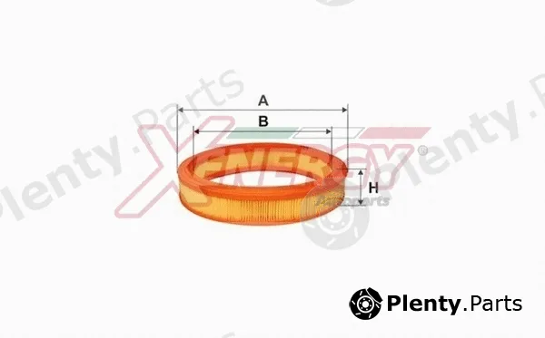 Ap Xenergy X159324 — Air Filter