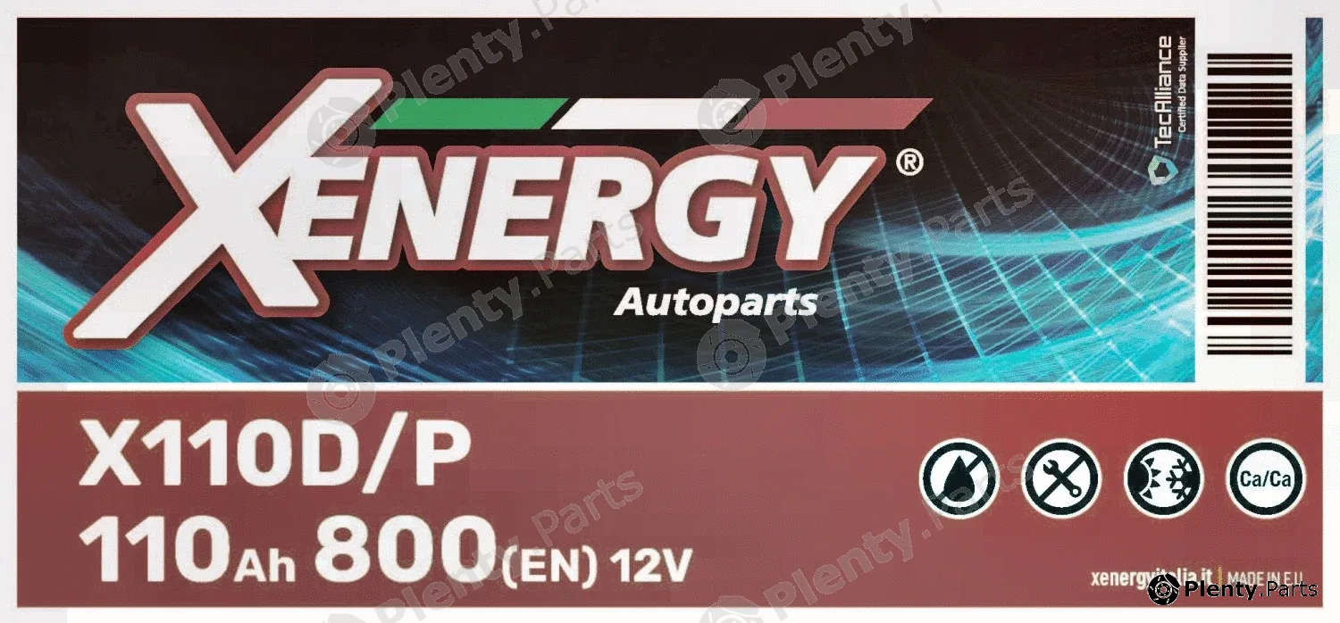 Ap Xenergy X110D/P — Starter Battery