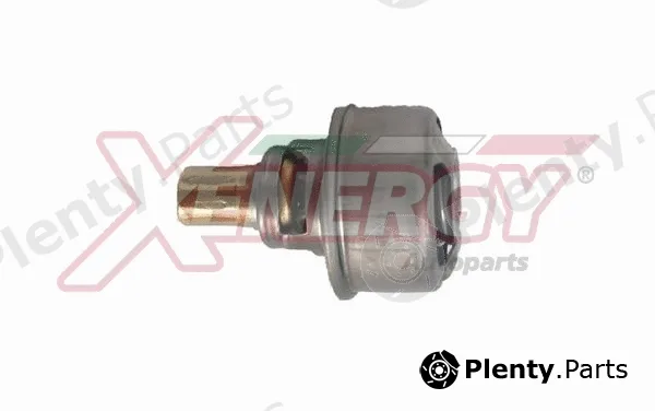 Ap Xenergy XT4495.89 — Thermostat, coolant