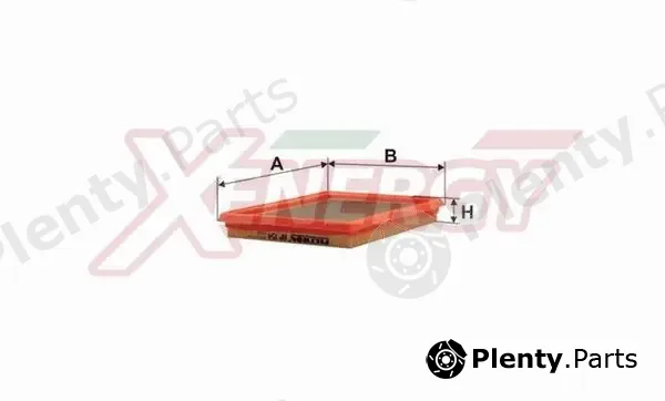 Ap Xenergy X1521693 — Air Filter