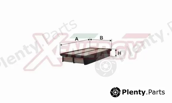 Ap Xenergy X1521824 — Air Filter